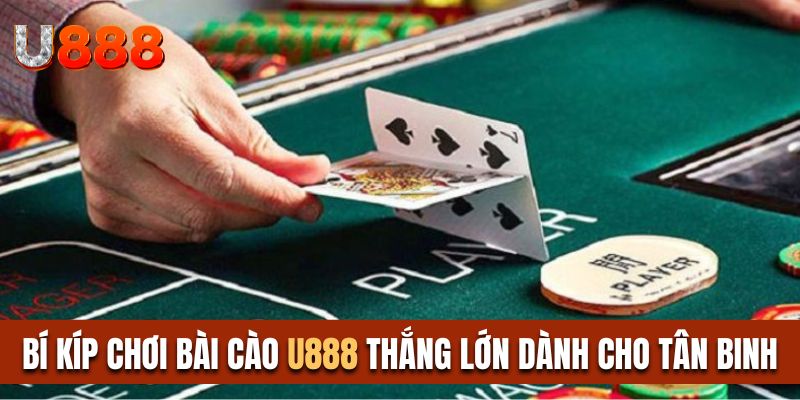 Bí kíp chơi bài cào thắng lớn dành cho tân binh